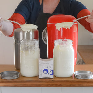 making fresh milk yogurt with an easi yo maker