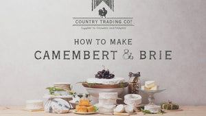 cheesemaking recipe book brie