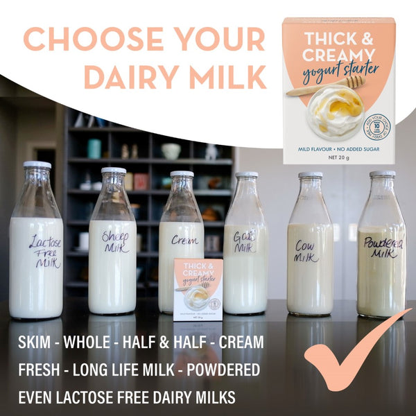 yogurt starter for lactose free milk