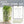 Load image into Gallery viewer, guide to sprouting seeds