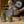 Load and play video in Gallery viewer, seed sprouting kit