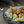 Load image into Gallery viewer, ricotta cheese making recipe