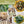 Load image into Gallery viewer, pasta recipes for doughs and sauces