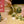 Load and play video in Gallery viewer, ravioli making gift kit