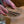Load and play video in Gallery viewer, seed saver envelopes