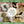 Load image into Gallery viewer, Cheesecloth for craft