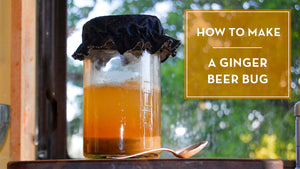 recipe for ginger beer bug