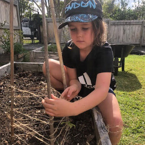 Growing Food and Finding Focus - Lila shares her thoughts and reactions on lock down.