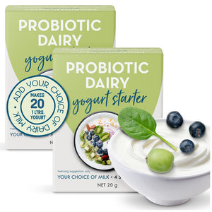 Probiotic dairy yogurt starter