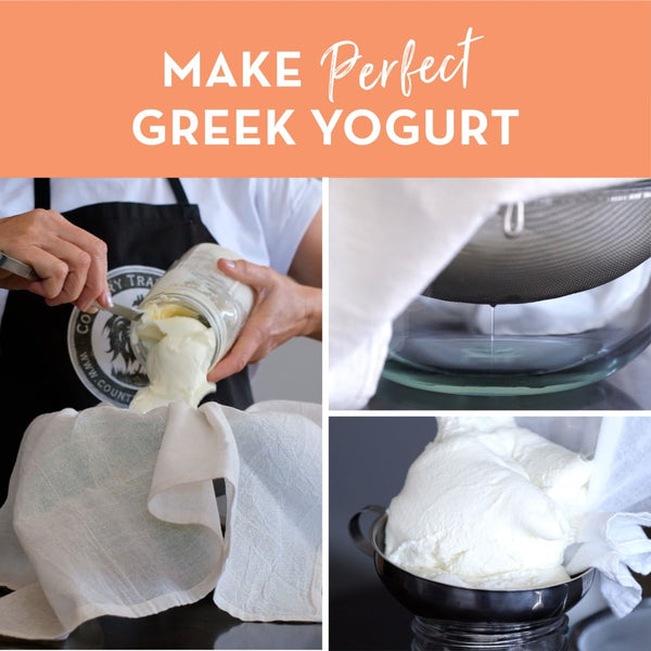 Greek Yoghurt Cultures