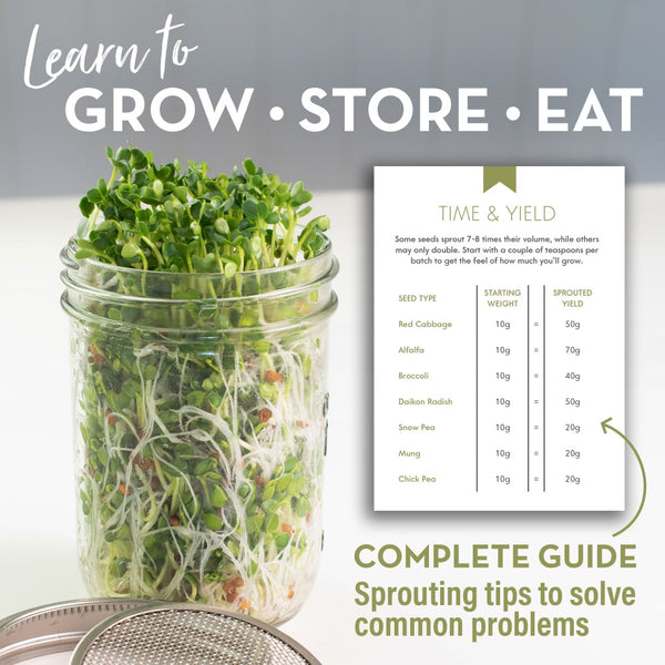 guide to sprouting seeds