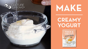 make natural yogurt