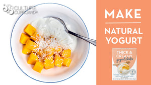natural plain yogurt starter