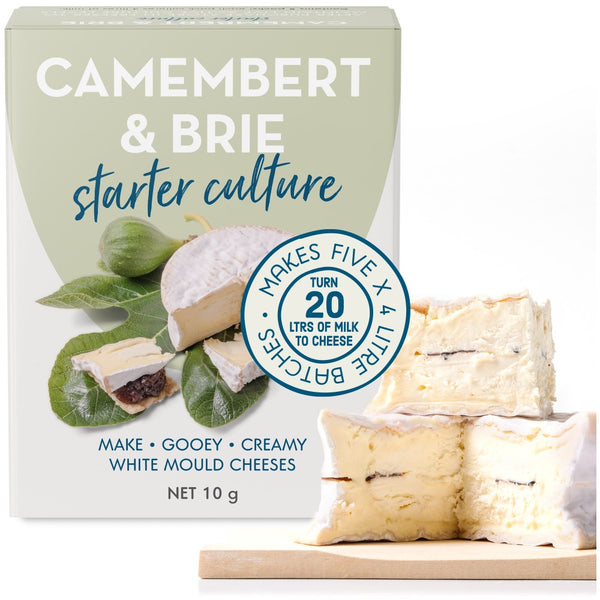 camembert white mould starter