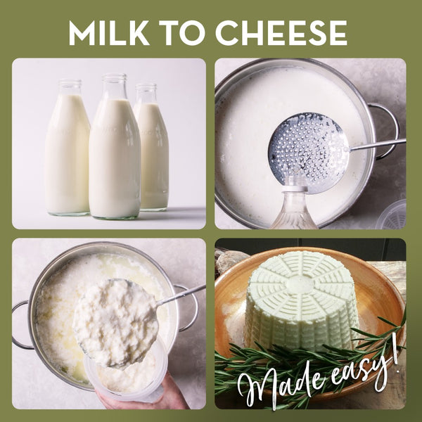dairy cheese made easy