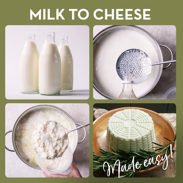 Moldy Ricotta Cheesemaking Set | 5 Cheese Moulds + Recipe Book | Made in Italy ...