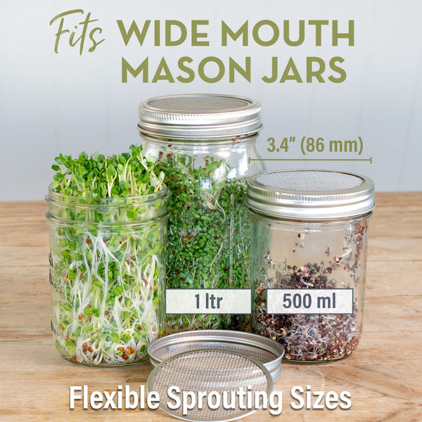 Sprouting Seeds Jar Lids (3 pack) & Guide