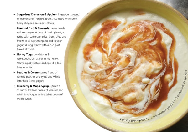 yoghurt making recipe book